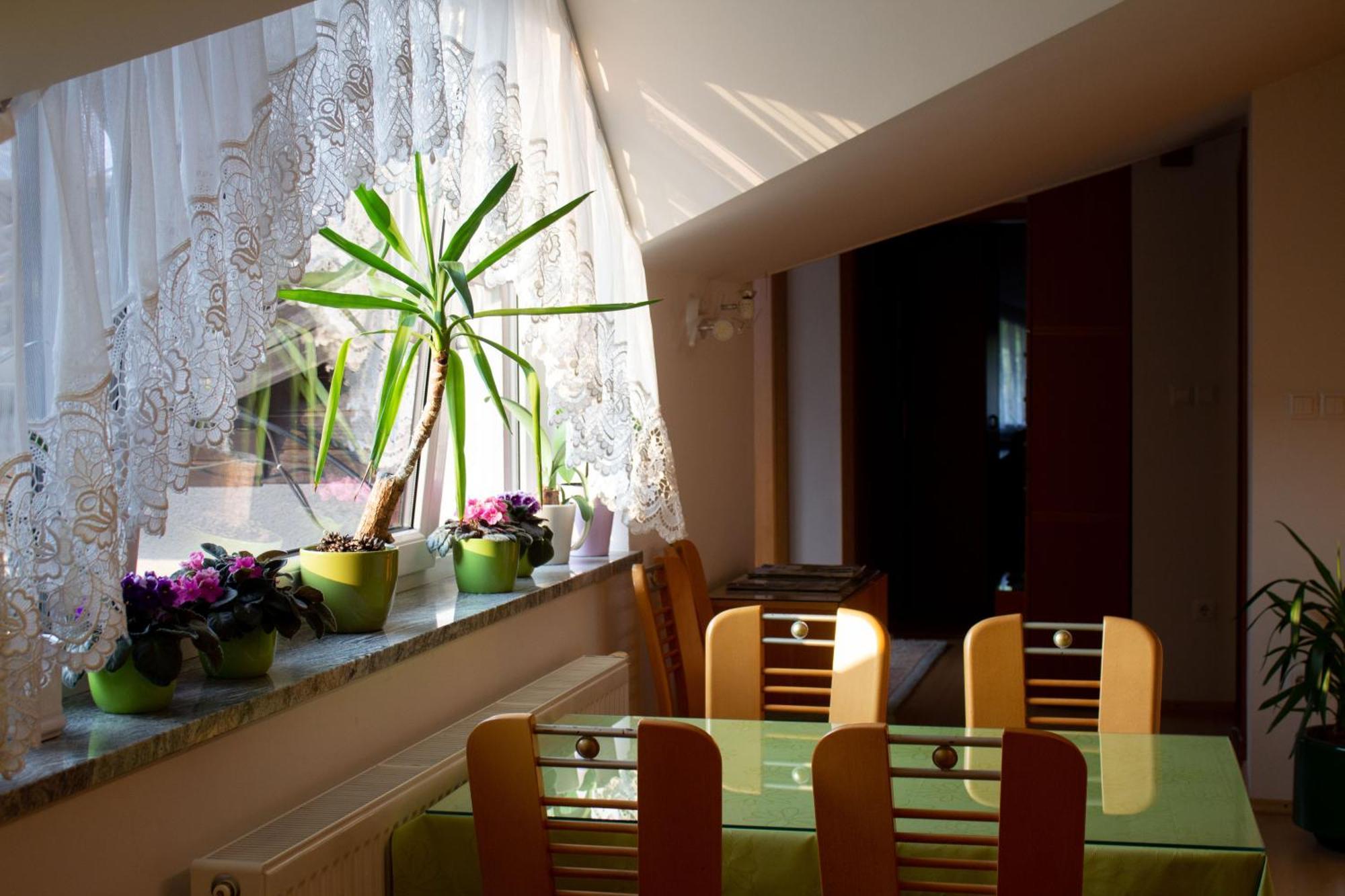 Garden Apartments Jansa Radovljica Quarto foto
